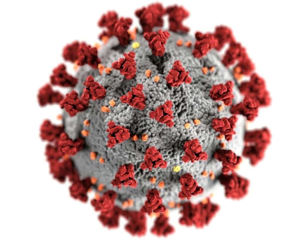 Detailed 3D representation of the coronavirus structure highlighting spike proteins.